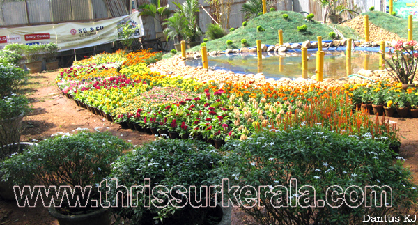 flower-show-2011 (0)